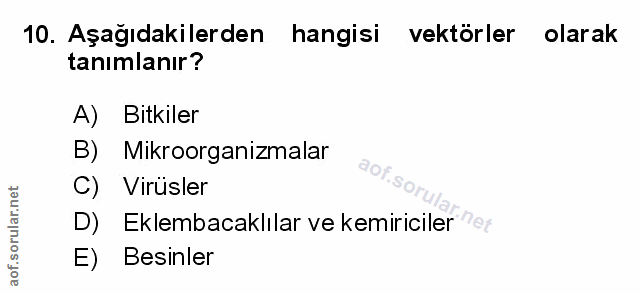Soru 10