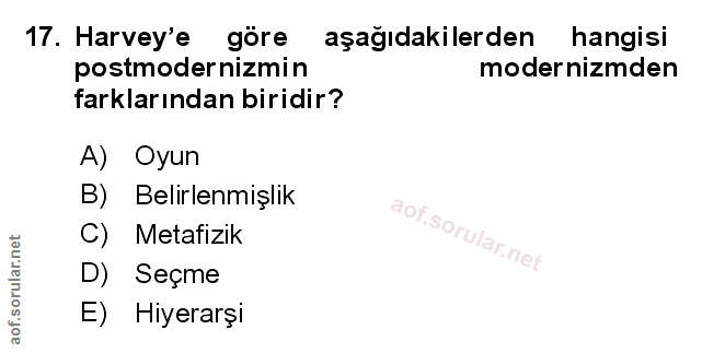 Soru 17