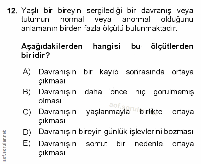 Soru 12