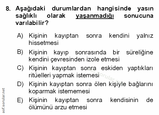 Soru 8