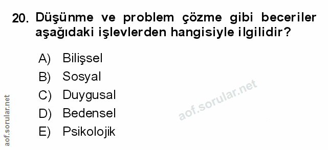 Soru 20