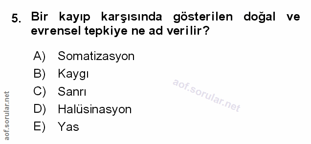 Soru 5