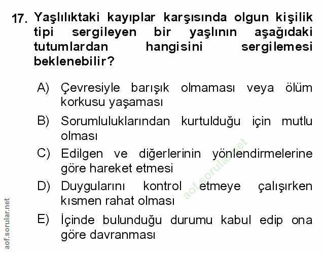 Soru 17