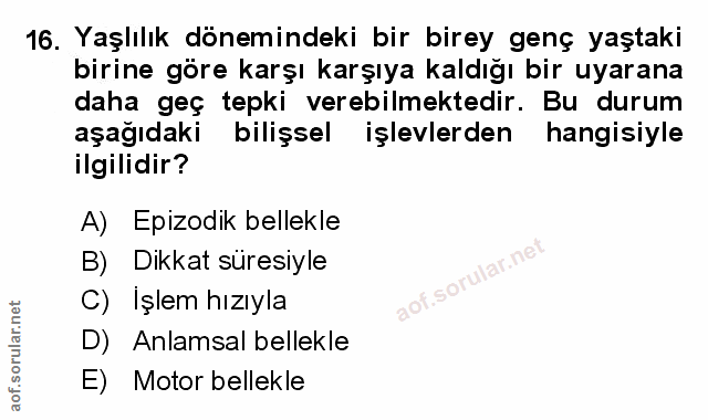 Soru 16