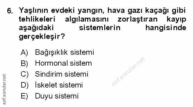 Soru 6