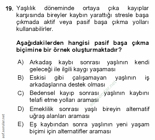 Soru 19