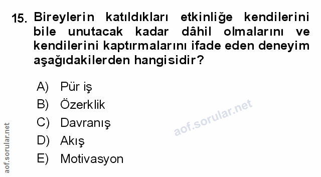 Soru 15