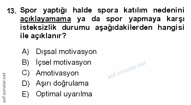 Soru 13