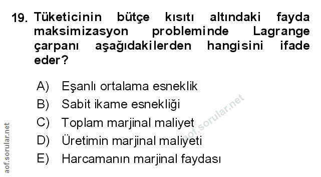 Soru 19