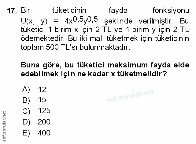 Soru 17