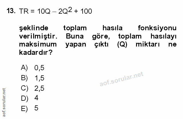 Soru 13