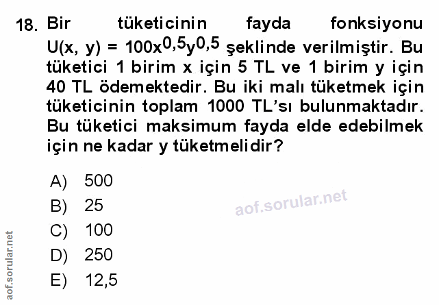 Soru 18