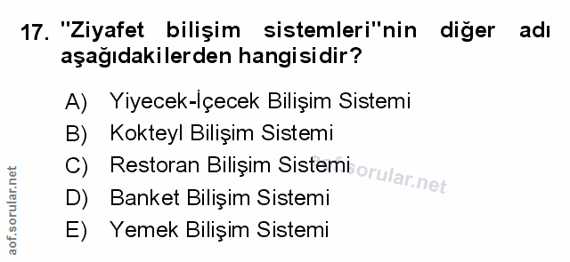 Soru 17