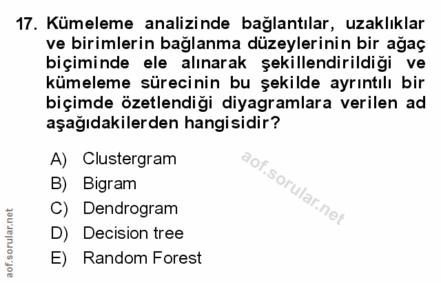 Soru 17