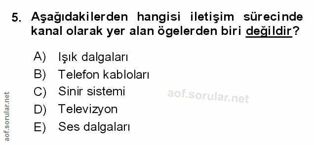 Soru 5