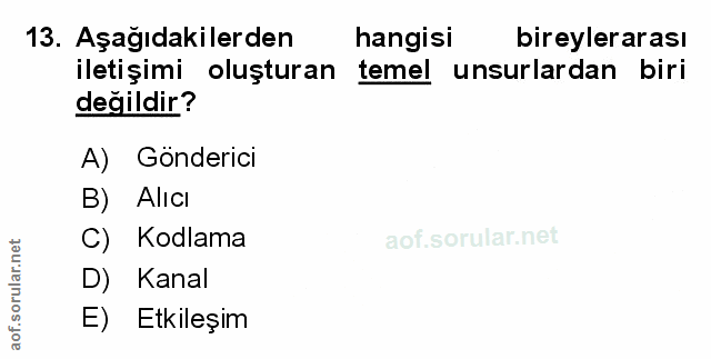 Soru 13