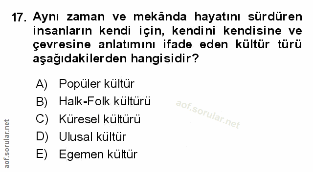 Soru 17