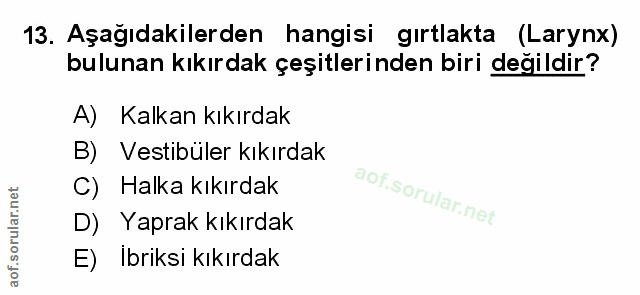 Soru 13
