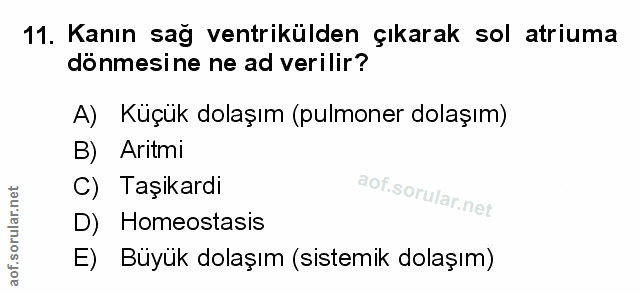 Soru 11