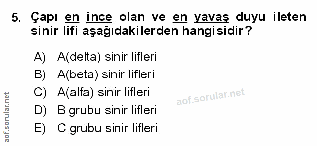 Soru 5