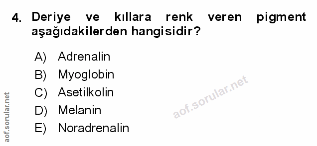Soru 4