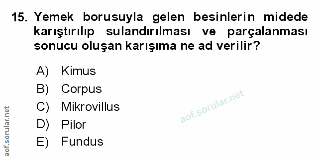 Soru 15