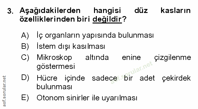 Soru 3