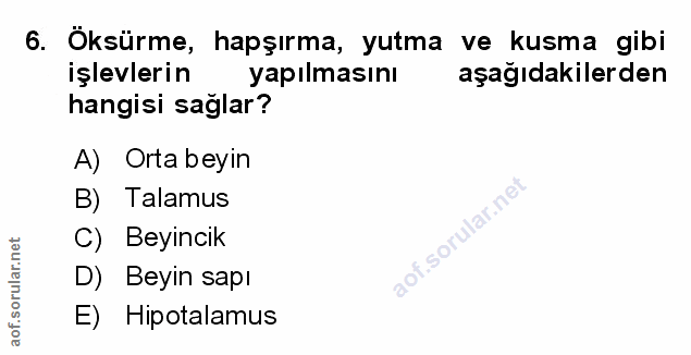 Soru 6