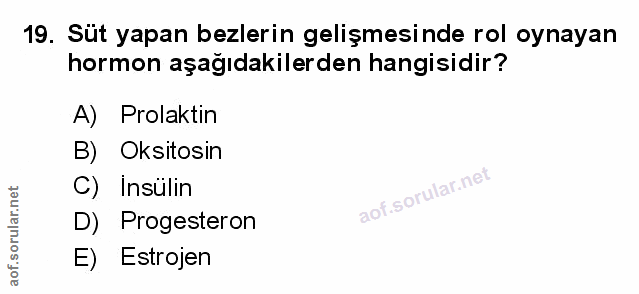 Soru 19