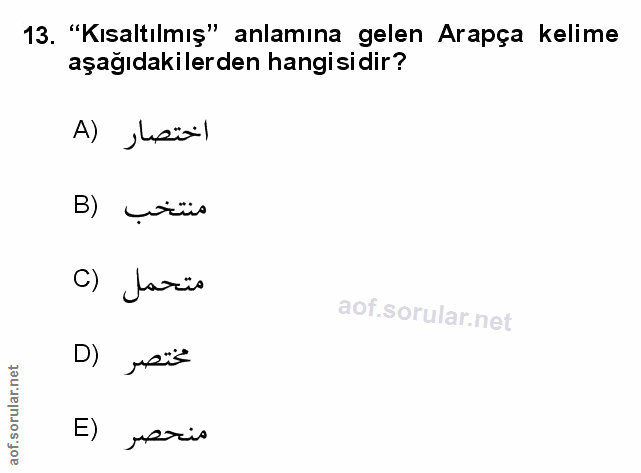 Soru 13