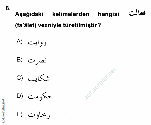Soru 8
