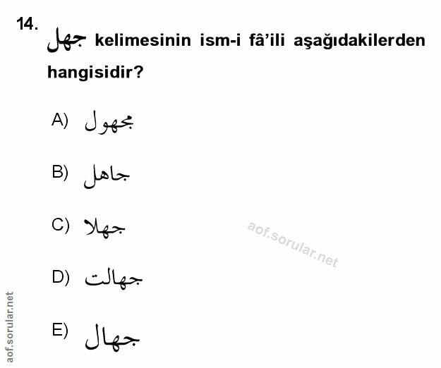 Soru 14