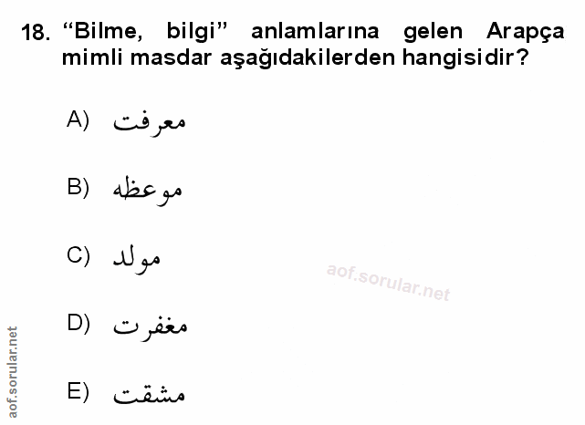 Soru 18