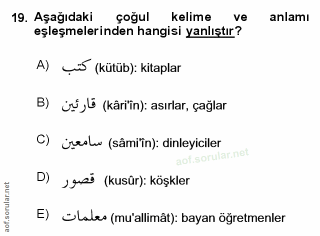 Soru 19