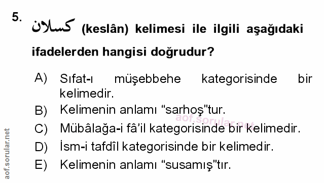 Soru 5