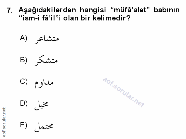 Soru 7