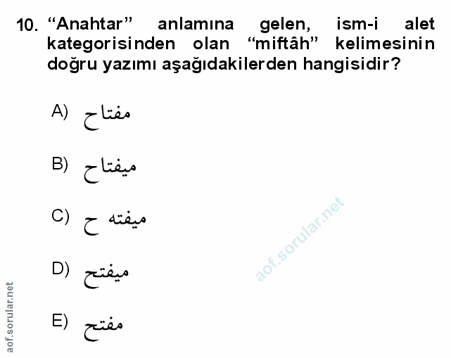 Soru 10