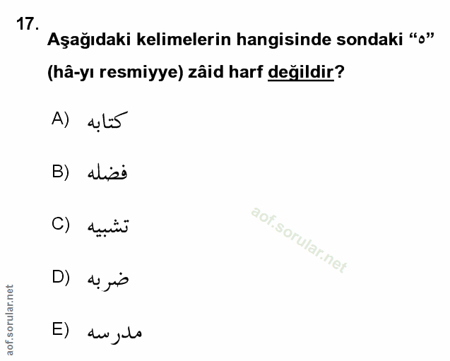 Soru 17