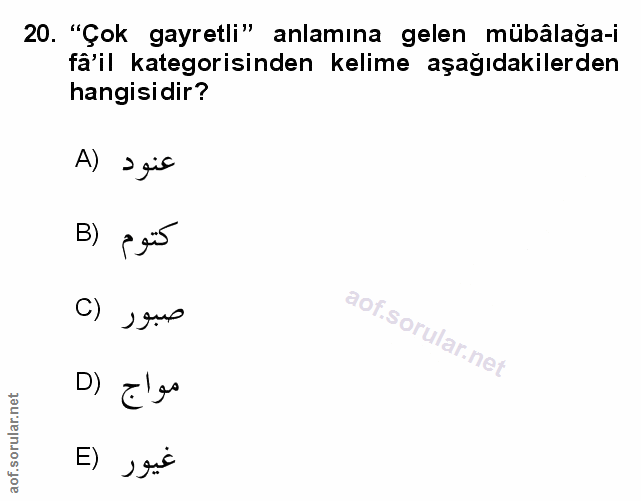 Soru 20