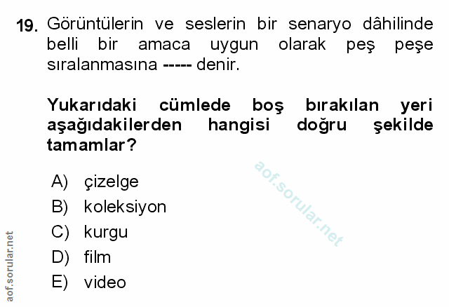 Soru 19