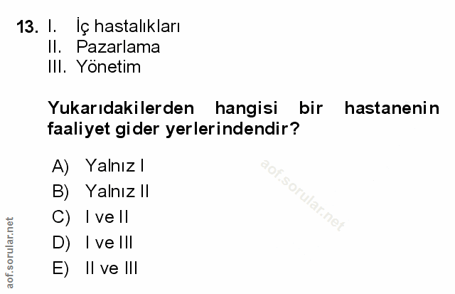 Soru 13