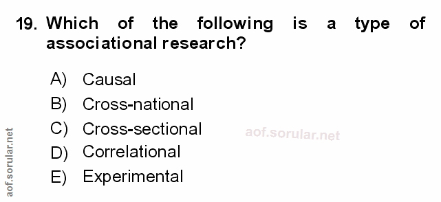 Soru 19
