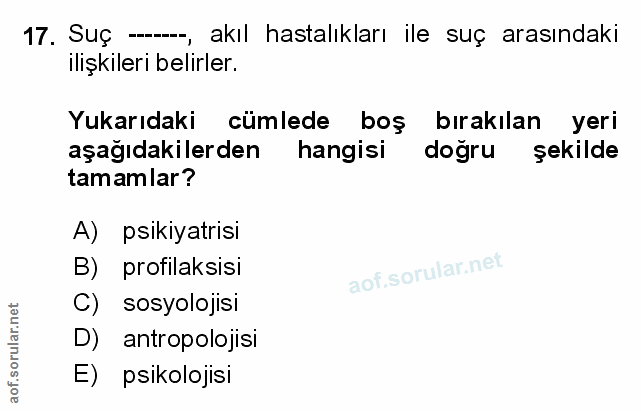 Soru 17