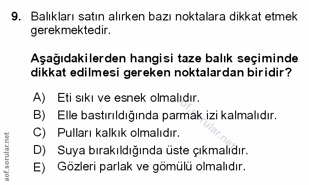 Soru 9