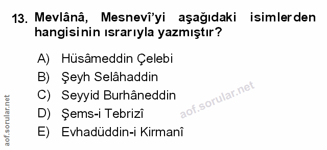 Soru 13