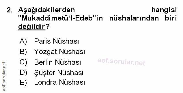 Soru 2