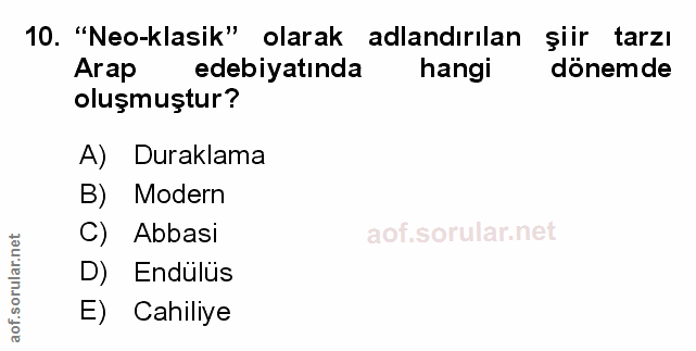 Soru 10