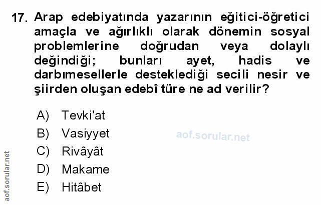Soru 17