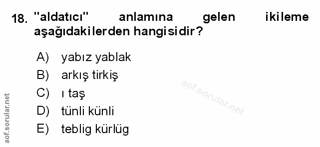 Soru 18