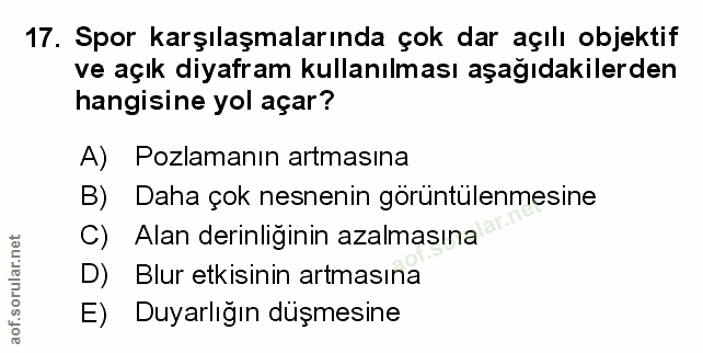Soru 17